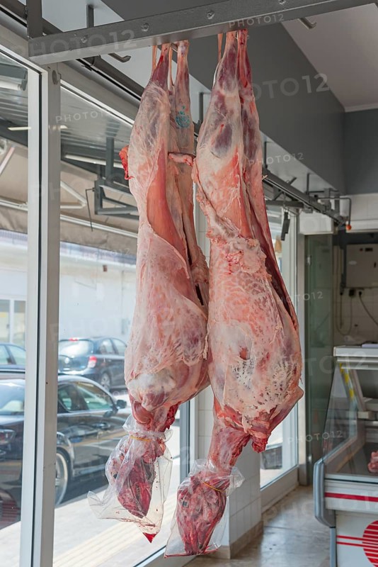 Two sheep hanging on meat hooks, light coming in through the window, Gastouni, Elis, Peloponnese, Greece, Europe