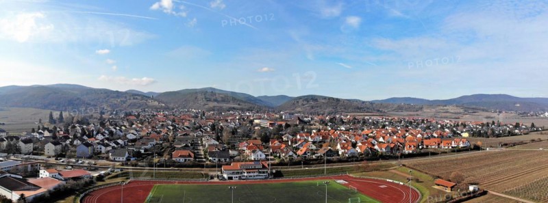 Aerial view of Wachenheim Pfalz, Germany, Europe