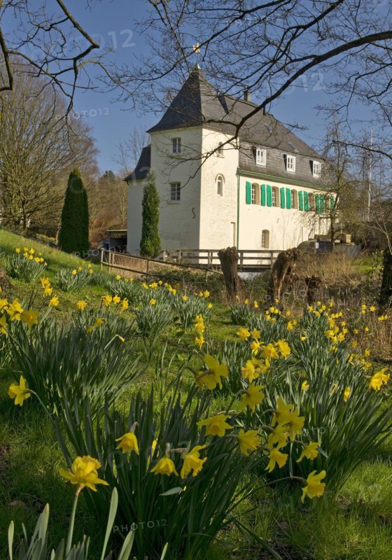 Goldberg Mill in spring, historical sight, Mettmann, Bergisches Land, North Rhine-Westphalia, Germany, Europe