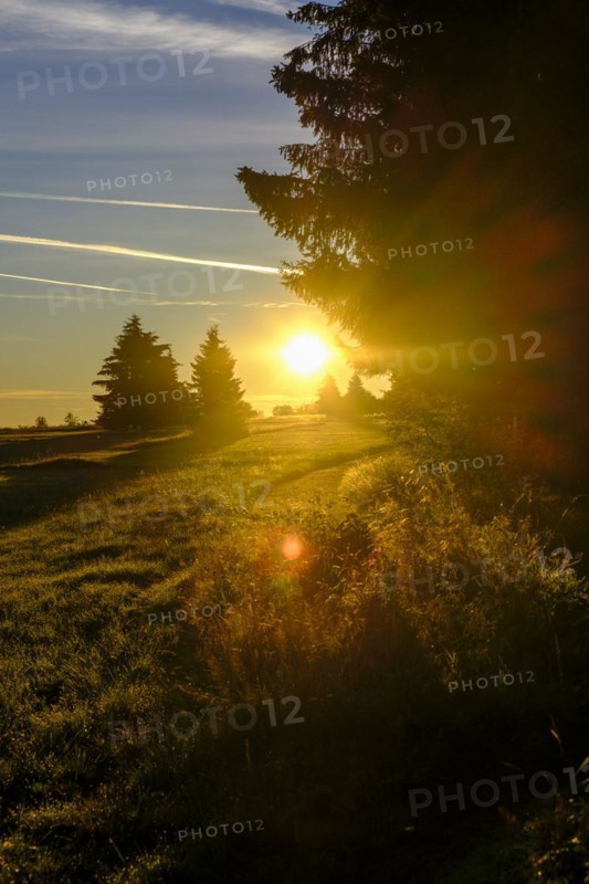 Am Heidelstein, Schwabenhimmel, UNESCO Biosphere Reserve, near Hausen, Rhön, Bavarian Rhön, Rhön, Lower Franconia, Bavaria, Germany, Europe