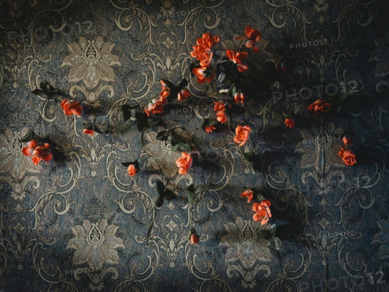 Wallpaper with plastic flowers in a house in Voloska Balakliia. The village is close to the front line, artillery fire can be heard every day, Voloska Balakliia, Kharkiv Oblast, Ukraine, Europe