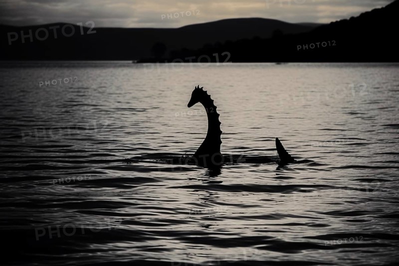 Silhouette of Loch Ness Monster swimming in lake. KI generiert, generiert AI generated