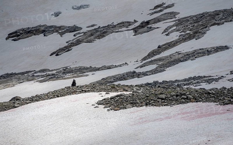 Cairn in the scree between snowfields, hiking trail, Berliner Höhenweg, Zillertal Alps, Tyrol, Austria, Europe
