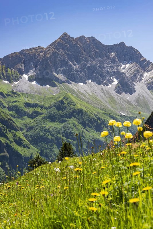 Großer Wilder, 2379m, Hochvogelgruppe and Rosszahngruppe, Allgäu Alps, Allgäu, Bavaria, Germany, Europe