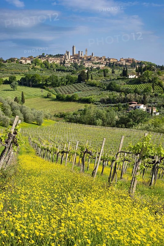 San Gimignano, Tuscany, Italy, Europe