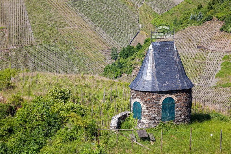 Stone hut with slate tower on a hill surrounded by green vineyards under a blue sky, Bernkastel-Kues, Moselle, Rhineland-Palatinate, Germany, Europe