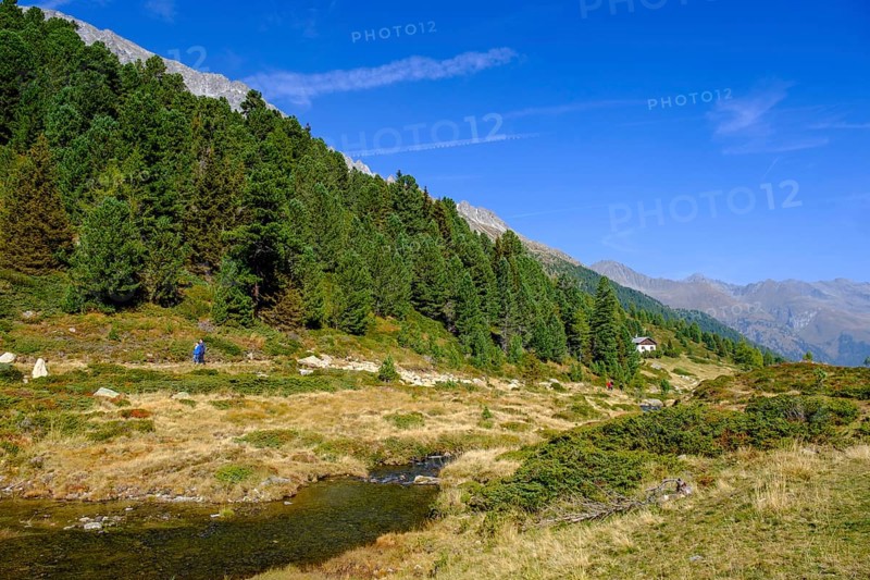 Staller Almbach, Staller Sattel, Defereggen Valley, East Tyrol, Austria, Europe