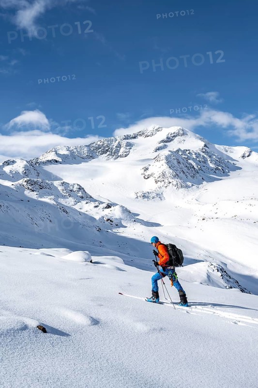 Ski tourers in a snow-covered mountain landscape, mountain peak Monte Cevedale and glacier Zufallferner, ascent to the summit Köllkuppe or Cima Marmota, Ortler Alps, Vinschgau Valley, Italy, Europe