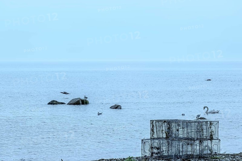 Stacks of wire baskets on the beach at Södra Udde, the southern tip of the island of Öland, Kalmar län