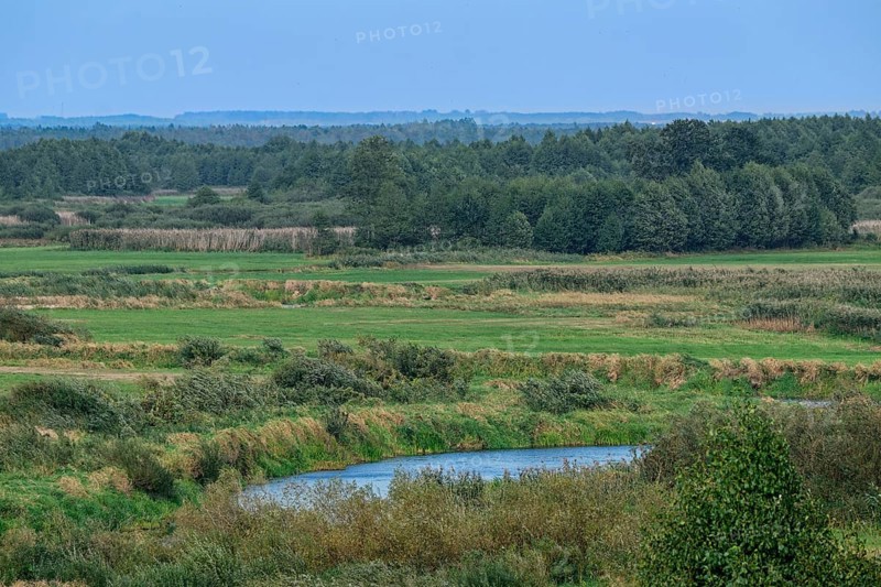 The Biebrza Valley in the Biebrza National Park in northern Poland. Burzyn, Podlaskie, Poland, Europe