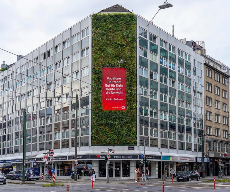Green façade on a building, Areo Treibhaus office building, on Graf-Adolf-Straße in Düsseldorf, 100 square metre vertical garden, green climate-active façade, with digital advertising space, plants are artificially watered and supplied with nutrients, North Rhine-Westphalia, Germany, Europe