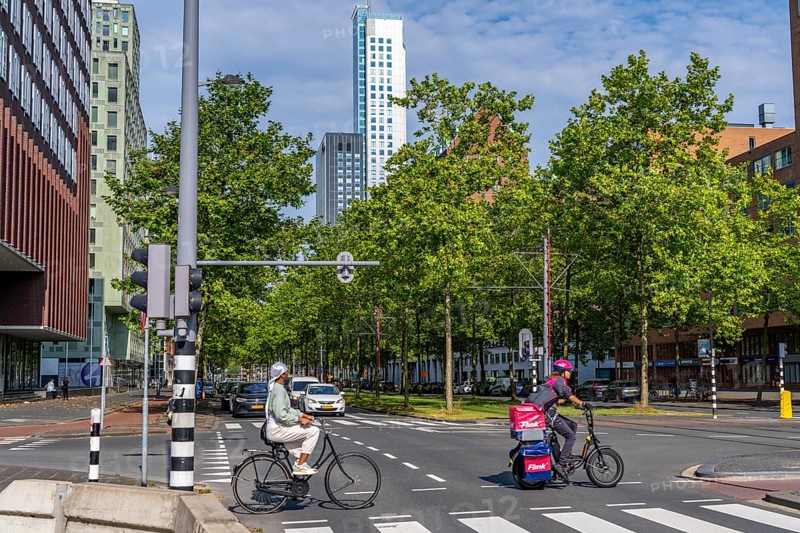 Urban greening, inner-city street Laan op Zuid, in Rotterdam's Feijenoord district, 4 lanes, 2 tram tracks, cycle paths on both sides, pavements and parking lanes, planted with hundreds of plane trees over around 1.5 km, providing shade, cooling in summer, tram tracks with grass surface, less surface sealing, urban climate, microclimate in the city, Rotterdam, Netherlands