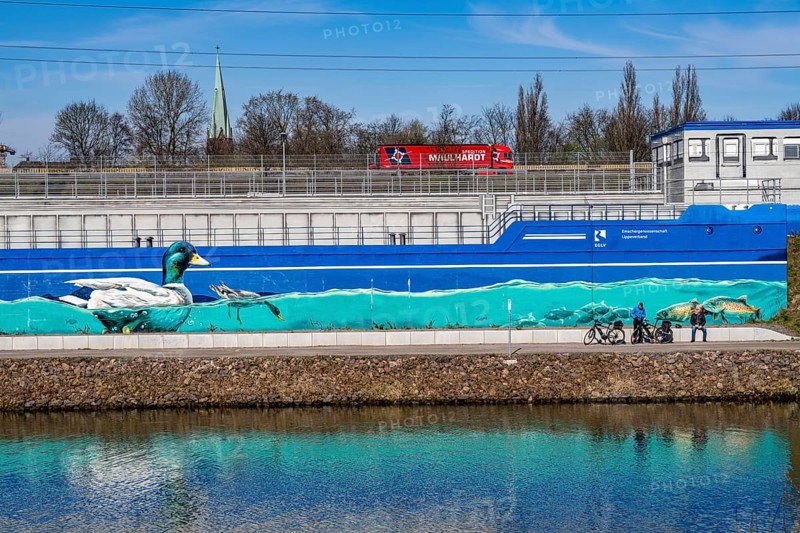 Stormwater overflow basin on Osterfelder Straße in Oberhausen, on the Rhine-Herne Canal and the Emscher, behind it, on the Emscher Island, where clean rainwater is separated from dirty wastewater, part of the Emscher conversion, graffiti with ducks and other aquatic animals that can now live on and in the Emscher again, North Rhine-Westphalia, Germany, Europe