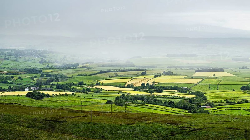 Farms and Fields from Hartside Pass, North Pennines, Cumbria, Durham, Northumberland, North Yorkshire, England, United Kingdom, Europe