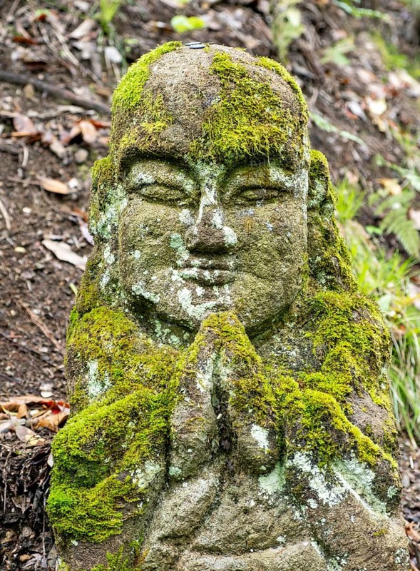 Close-up of moss-covered stone statue of rakan, the disciple of Buddha, Otagi Nenbutsu-ji temple, Kyoto, Japan, Asia