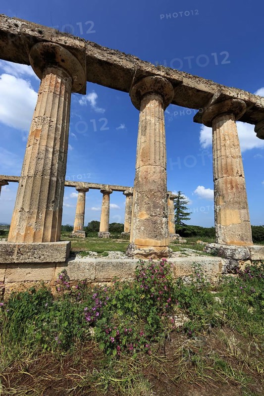 Metaponto, Metaponte, Doric hera temple, Tavole Palatine, Basilicata, Italy, Europe