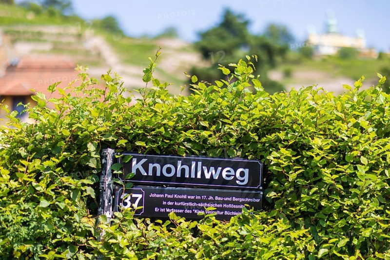 The idyllic, listed Hoflößnitz is a jewel of the Saxon wine culture landscape and the first and only producer in Saxony that is fully committed to organic cultivation and produces certified organic Saxon wines. Saxony's only viticulture museum with a permanent and special exhibition on regional viticulture is located in the historic buildings and on the neighbouring open space. Knohlweg street sign, Höflößnitz House, Radebeul, Saxony, Germany, Europe