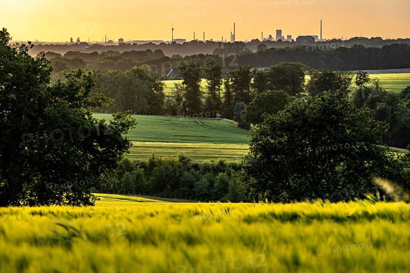 View over the Ruhr valley, to the west, from Mülheim an der Ruhr, in the direction of Duisburg-Bruckhausen, Thyssenkrupp Steel industrial backdrop, grain fields in the evening sun, North Rhine-Westphalia, Germany, Europe