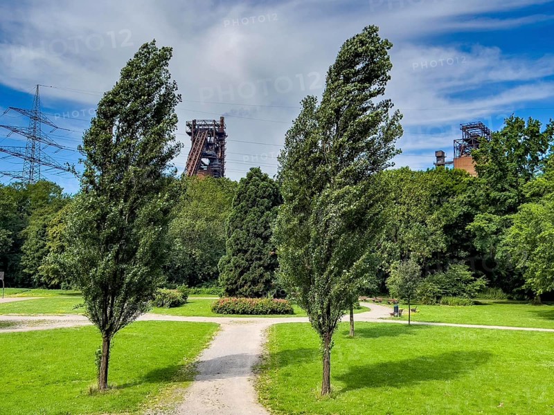 The Volkspark Schwelgern in Duisburg Marxloh, from 1925, municipal park donated by August Thyssen, directly adjacent to the high courtyards of the Thyssenkrupp Steel Marxloh steelworks, Duisburg, North Rhine-Westphalia, Germany, Europe