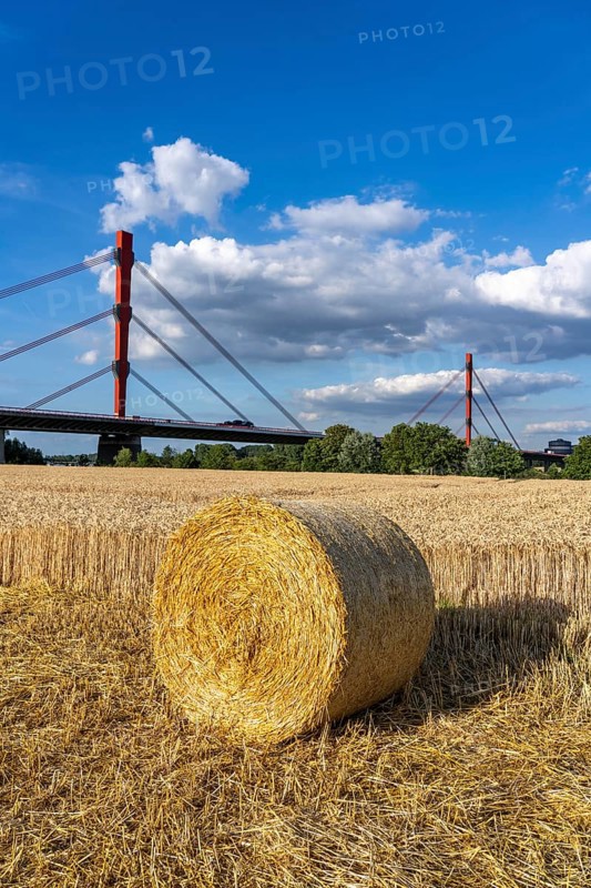 Grain field, harvested, straw bales, near Duisburg-Baerl, behind the motorway bridge of the A42 over the Rhine, Thyssenkrupp Steel steelworks in Duisburg-Beeckerwerht, North Rhine-Westphalia, Germany, Europe