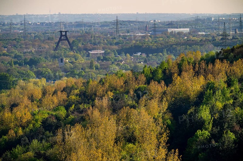 View from the Hoheward spoil tip to the south towards Wanne-Eickel, wooded areas, headframe of the former Pluto 2/3/7 colliery, North Rhine-Westphalia, Germany, Europe