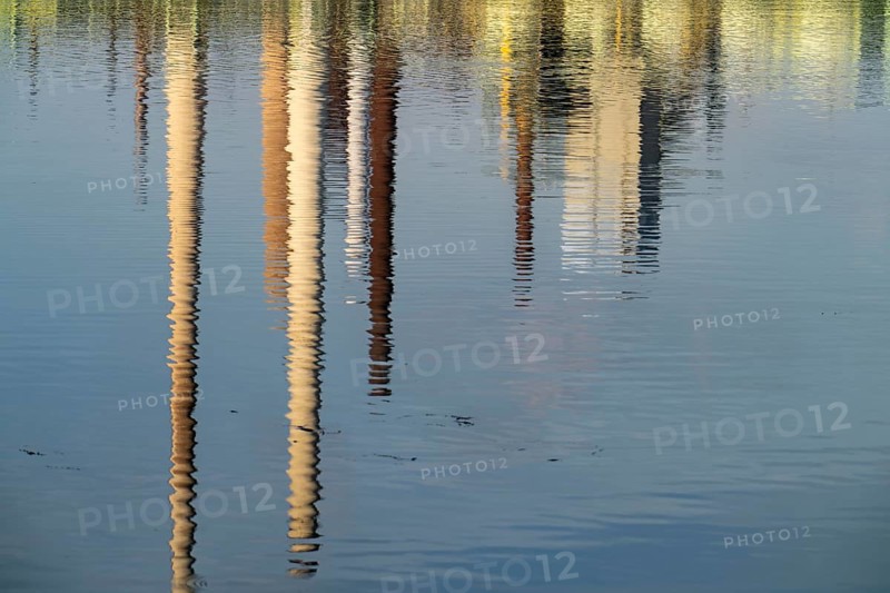 Reflections of the chimneys of the ThyssenKrupp Steel steelworks in Bruckhausen, in the Rhine, Schwelgern coking plant, Duisburg, North Rhine-Westphalia, Germany, Europe