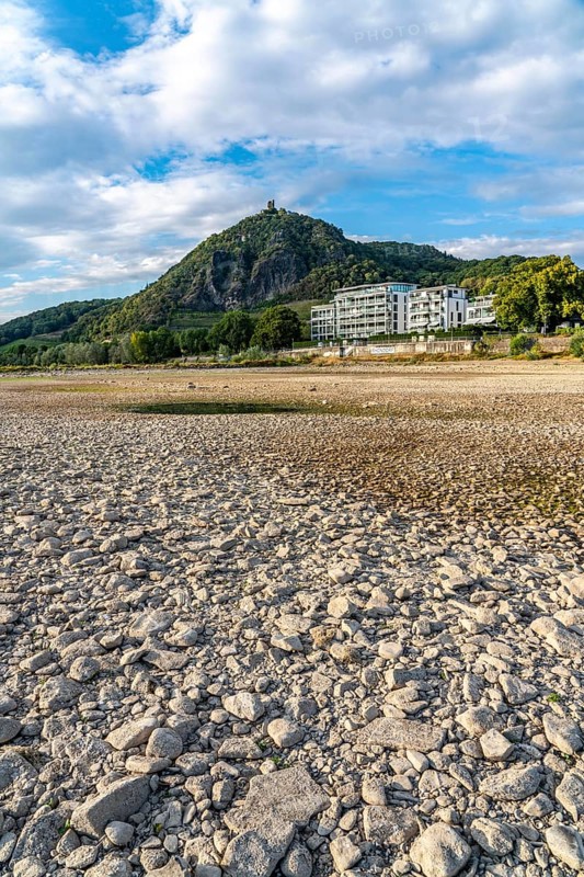 The Rhine at extremely low water, near Bad Honnef Rhöndorf, below the Drachenfels, Nonnenwerth Island, dry banks of the Rhine, North Rhine-Westphalia, Germany, Europe