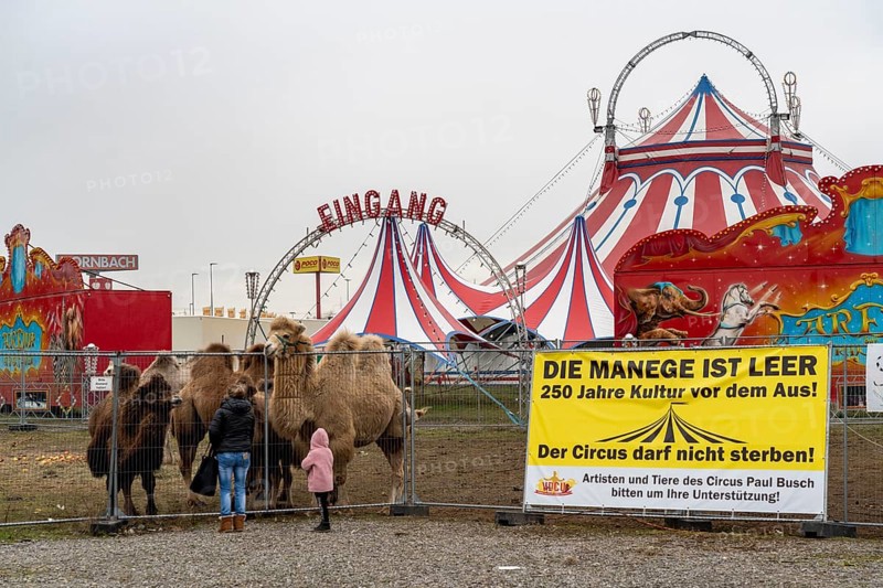 Circus Paul bush, shut down during the second corona lockdown, in Oberhausen, with posters pointing out the difficult situation of circus businesses during the pandemic, Oberhausen North Rhine-Westphalia, Germany, Europe