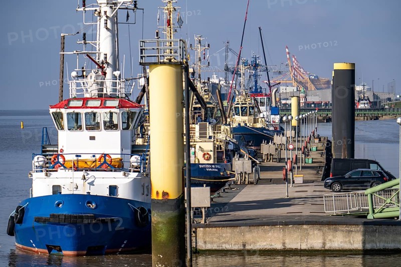 Harbour tugs, tugboats, bowser, at the pier at Columbuskaje, harbour cranes, historic Pingelturm, in the seaport of Bremerhaven, Bremen, Germany, Europe