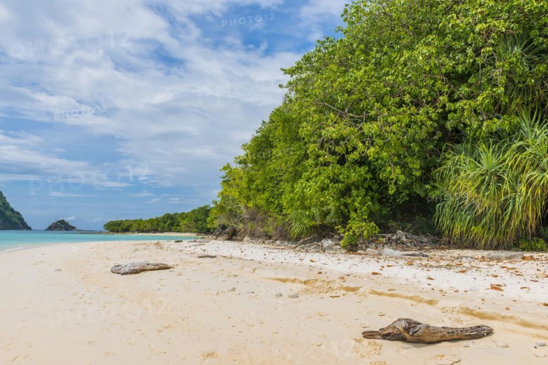 Dream beach on the island of Ko Rot Yai, ocean, landscape, Andaman Sea, lonely, water, snorkelling, beach holiday, beach holiday, palm beach, holiday, travel, tourism, dream holiday, holiday paradise, sun, sunny, climate, beautiful weather, blue sky, landscape, coastal landscape, rainforest, paradise, paradisiacal, exotic, nobody, empty, holiday cliché, natural, idyllic, nature, natural landscape, untouched, tropical, tropics, Asian, Thailand, Asia