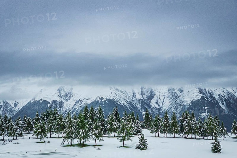 Snow-covered winter landscape in the Aletsch region, winter, fir trees, snow, Alps, travel, tourism, Valais, Switzerland, Europe