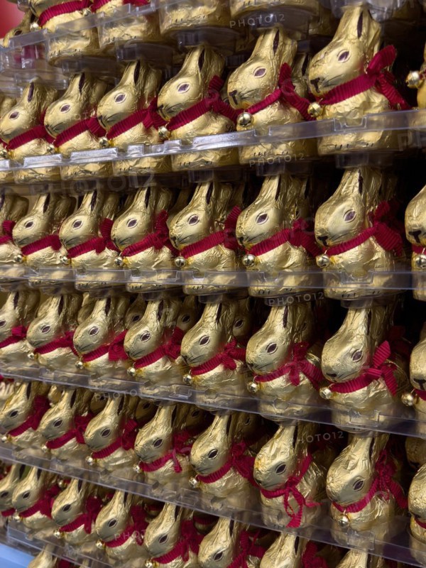 Display in shelf of wholesale of chocolate Easter bunnies Easter bunnies colour gold of red staniol paper of chocolate displayed offered in plastic tagere, Germany, Europe