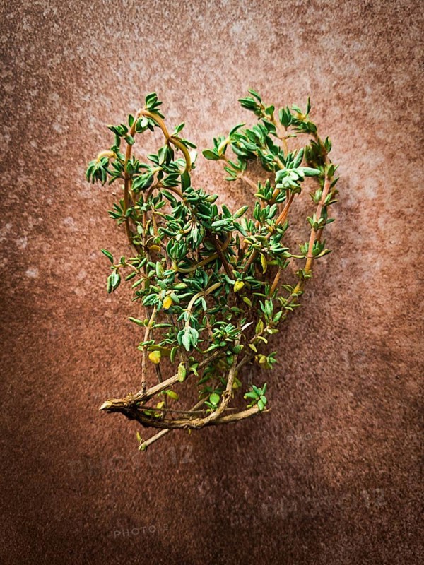 Thyme branch, on beige brown background, top view, rustic, mobile photo