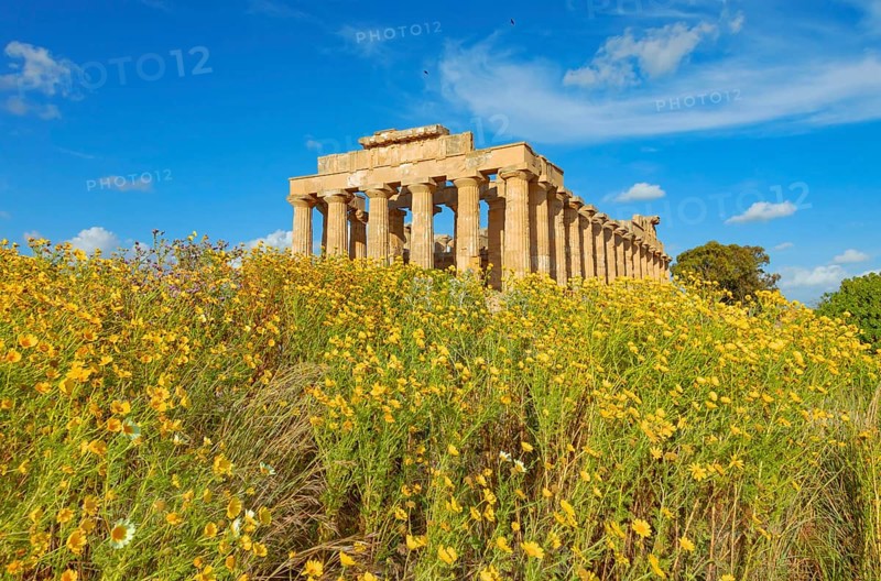 Temple of Hera or Temple E, Selinunte Archaeological Park, Selinunte, Trapani district, Sicily, Italy, Europe