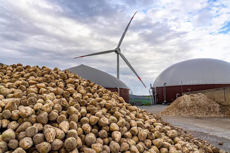 Biogas plant produces gas from various biomass, here the sugar beet storage, the electricity is produced in combined heat and power plants with the biogas produced and sold to companies in the neighbouring industrial estate, the heat generated is fed into a local heating network, gas storage and wind power plant, Ense, North Rhine-Westphalia, Germany, Europe