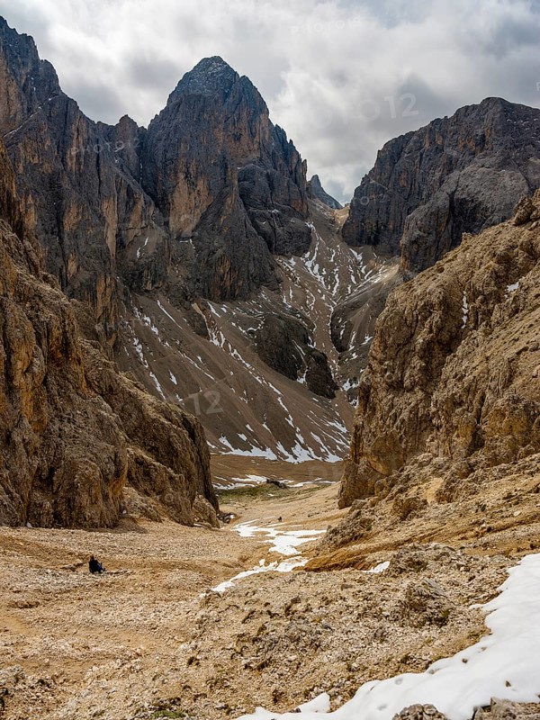 Descent into the Grassleitenkessel, rose garden, Dolomites, South Tyrol, Italy, Europe