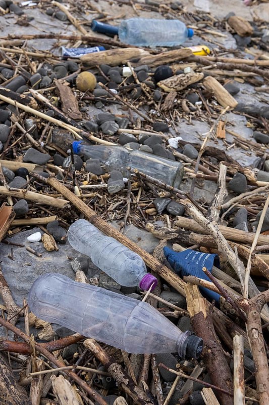 Symbolic image environmental pollution, plastic waste, rubbish, flotsam from a flood on the Neckar river, wood, bottles, Poppenweiler, Baden-Württemberg, Germany, Europe