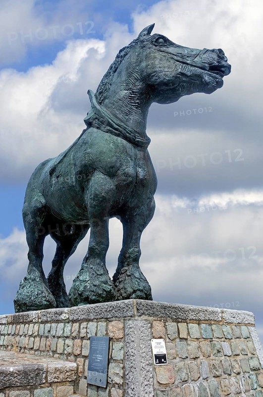 Prins, bronze statue of Brabant draft, draught horse by Belgian sculptor Koenraad Tinel at market of Sint-Kwintens-Lennik, Flemish Brabant, Belgium, Europe