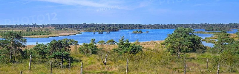 View from lookout tower De Stapper over Stappersven, fen in Grenspark Kalmthoutse Heide, Kalmthout Heath, nature reserve in summer, Flanders, Belgium, Europe