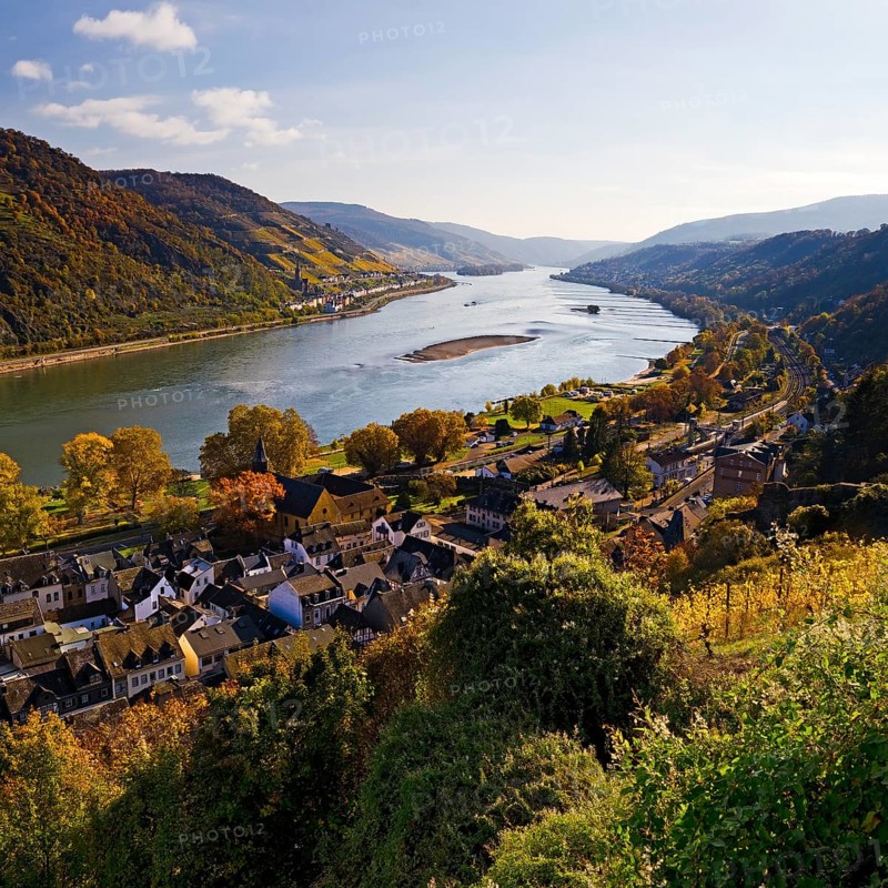 View of Bacharach on the Rhine in autumn, UNESCO World Heritage Upper Middle Rhine Valley, long-distance hiking trail RheinBurgenWeg, Rhineland-Palatinate, Germany, Europe