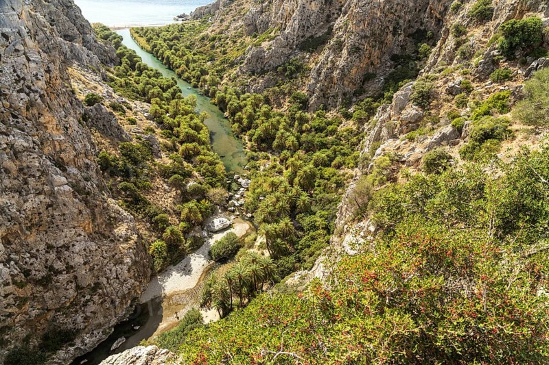 Phoenix theophrasti palms and the river Megalopotamos in the gorge of Preveli, Crete, Greece, Europe