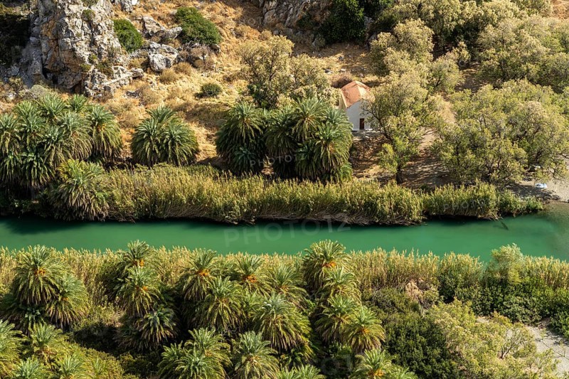 Phoenix theophrasti palms and the river Megalopotamos in the gorge of Preveli, Crete, Greece, Europe