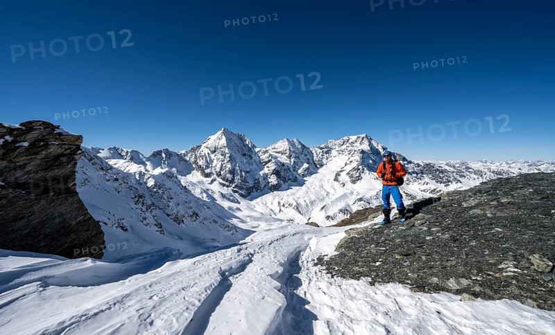 Ski tourers on foot at the summit of the Madritschspitze, mountain panorama with snow-covered mountain landscape in winter, view of mountain peaks Königsspitze, Monte Zebru and Ortler, Ortler Alps, Vinschgau Valley, Italy, Europe