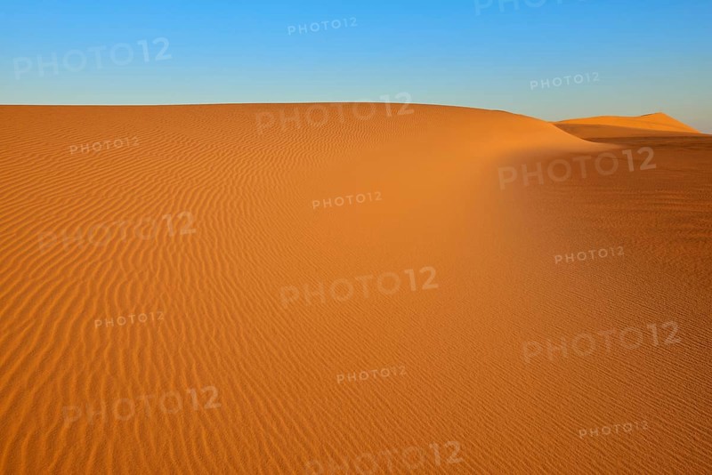 Endless sand dunes under a cloudless blue sky, the undulating patterns in the sand create a calm and peaceful atmosphere, Matruh, Great Sand Sea, Libyan Desert, Sahara, Egypt, North Africa, Africa