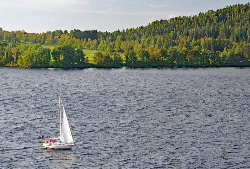 A sailboat sails on a calm lake surrounded by the green, wooded shores of Storsjon, Fröson Bridge, Östersund, Jämtland, Sweden, Europe