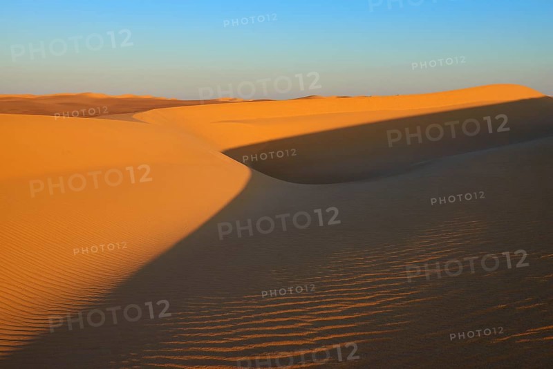 Sand dunes with long shadows in a desert landscape under a blue sky, Matruh, Great Sand Sea, Libyan Desert, Sahara, Egypt, North Africa, Africa