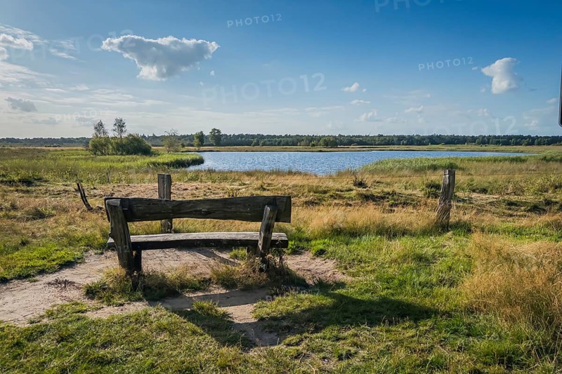Bench in the Gildehauser Venn nature reserve, nature, landscape, relaxation, tranquillity, view, Gildehaus, Germany, Europe