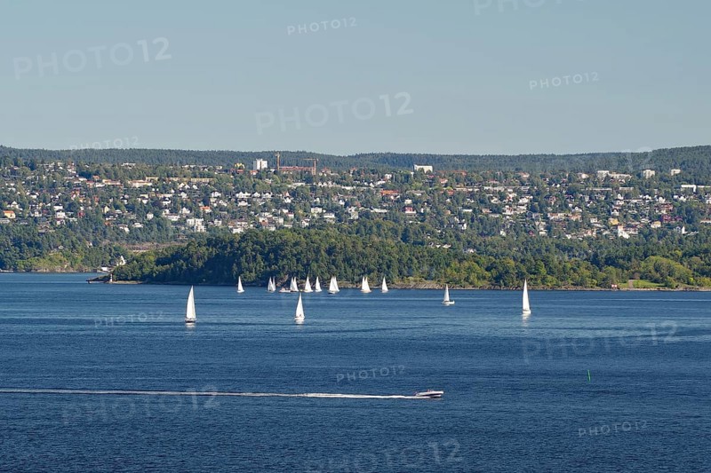 Several sailboats sailing in calm waters, accompanied by a vast hilly landscape in the background, Oslofjord, capital city, Oslo, Norway, Europe
