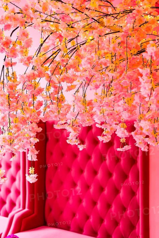 Vintage decoration in pink with plush sofa as furnishing, flowers, interior, design, upholstery, backdrop, interior, colour scheme, architecture, interior design