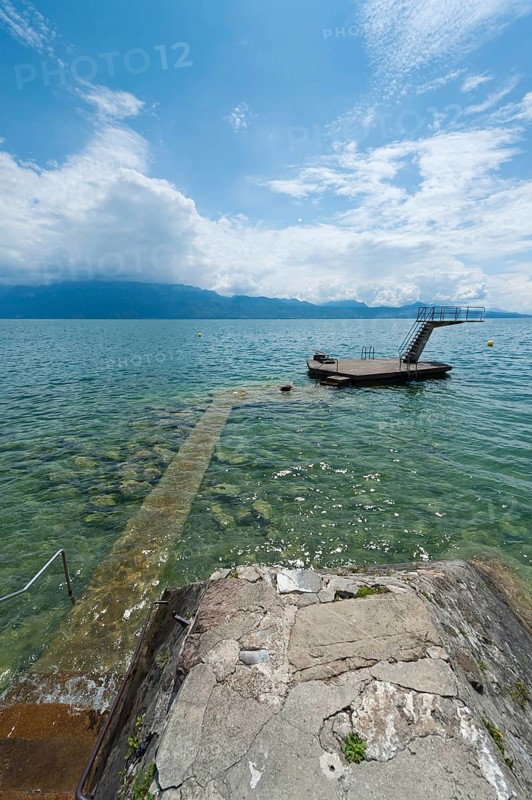Swimming in Lake Geneva, bathing lake, swimming, summer, summer holiday, bathing holiday leisure, alpine lake, diving tower, Vaud, Switzerland, Europe